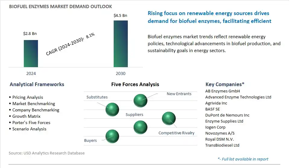 Biofuel Enzymes Market- Industry Size, Share, Trends, Growth Outlook